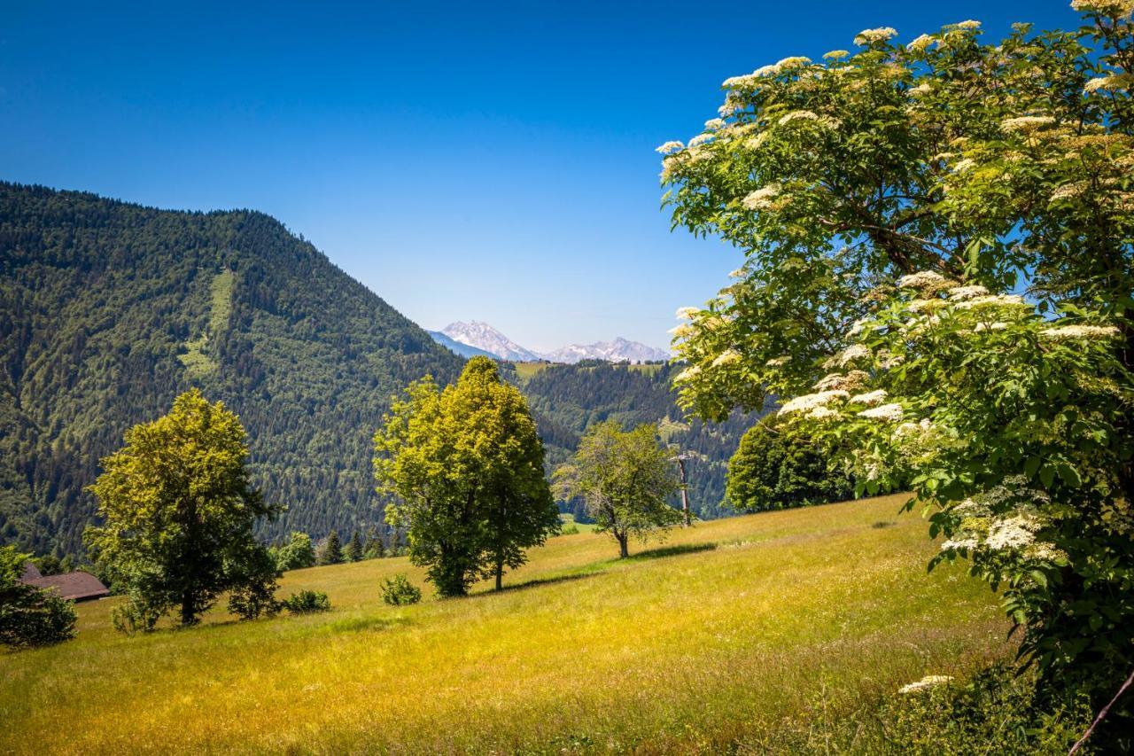 Appartement Reitlhof, Bio Berg Bauernhof Krispl Εξωτερικό φωτογραφία